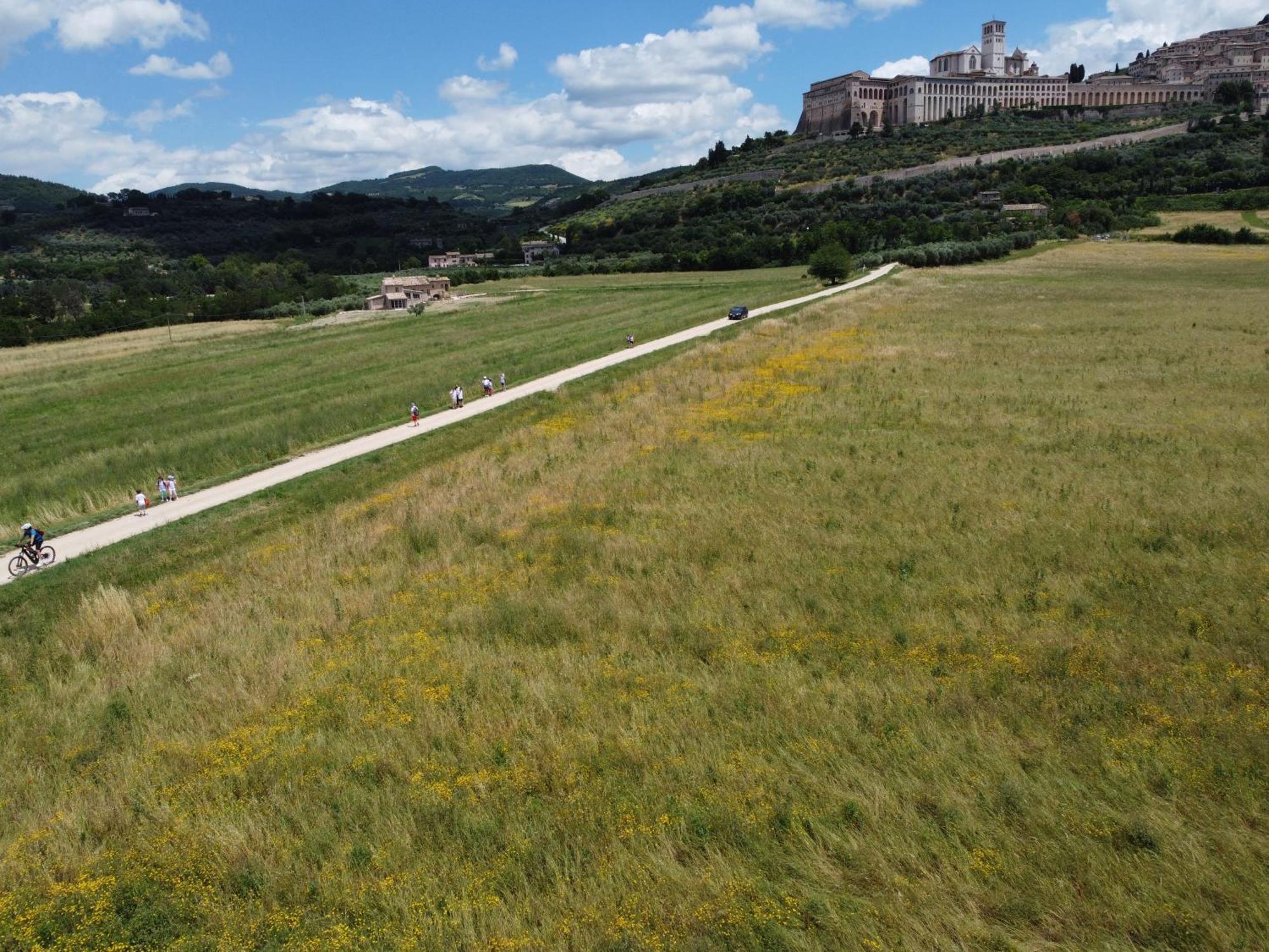Agriturismo Molinella Assisi Ngoại thất bức ảnh